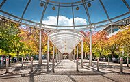 [Translate to Englisch:] Bildquelle: Universitätsklinikum Heidelberg