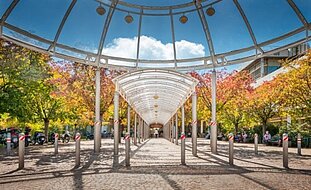 Bildquelle: Universitätsklinikum Heidelberg