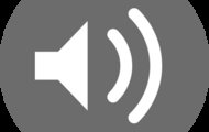 Audio