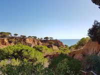 Normalerweise findet die Summer School in Portugal statt. Normalerweise findet die Summer School in Portugal statt.