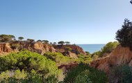 Normalerweise findet die Summer School in Portugal statt.