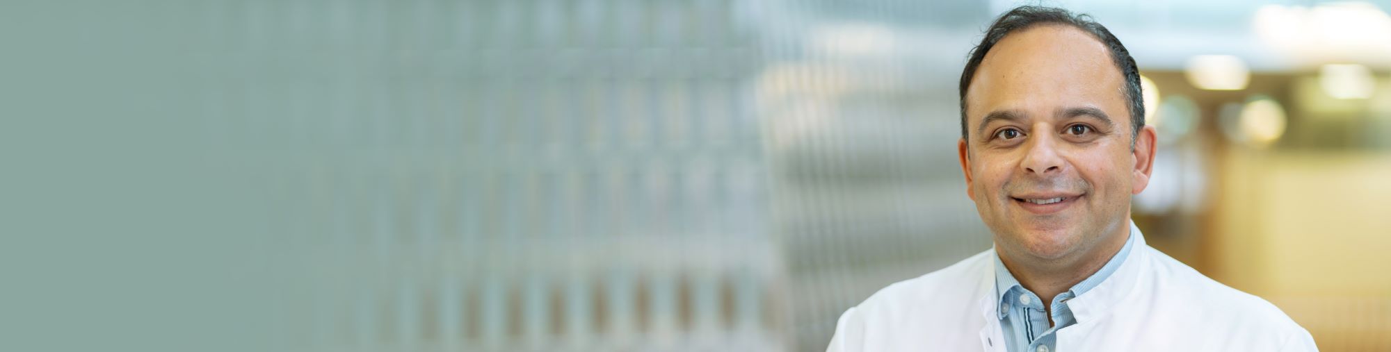Professor Dr. Dr. Amir Abdollahi