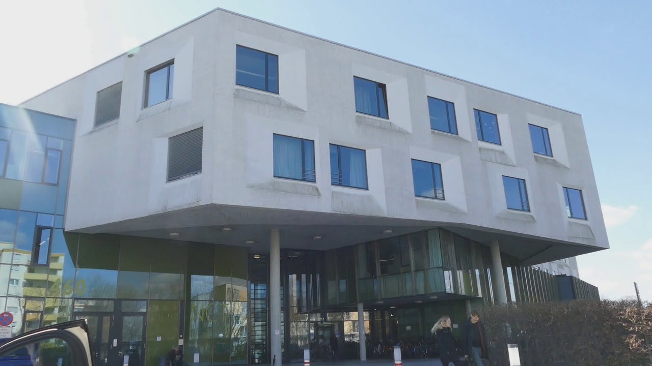 Immuntherapie bei Krebs