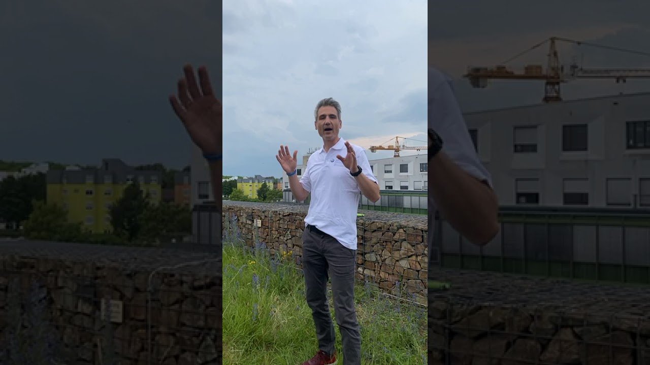Virtueller NCT-Lauf 2020: Startschuss