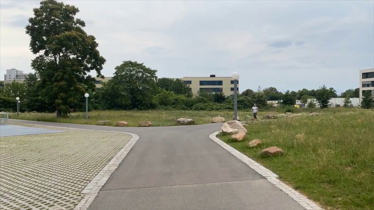 Virtueller NCT-Lauf 2020: Zieleinlauf