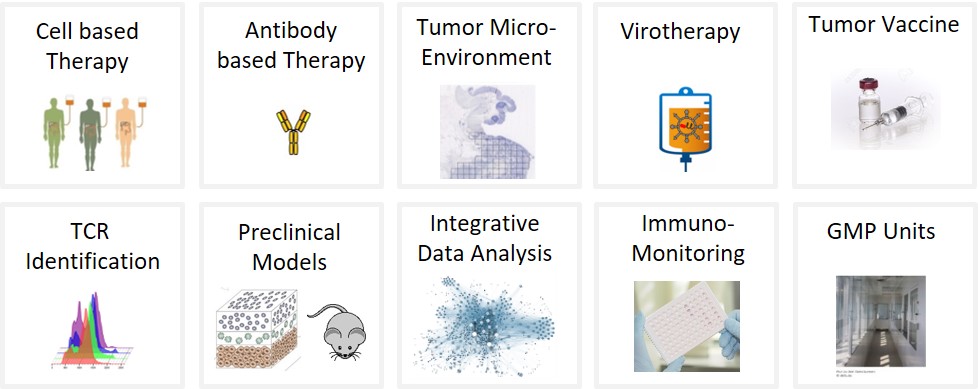 Overview of some of the strategies and platforms within the Immunotherapy Program.