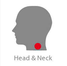 CP Head & Neck