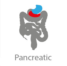 CP Pancreatic