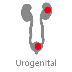 CP Urogenital