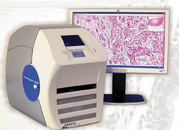 Quantification and Analysis of TMA and tissue slides by virtual microscopy technique