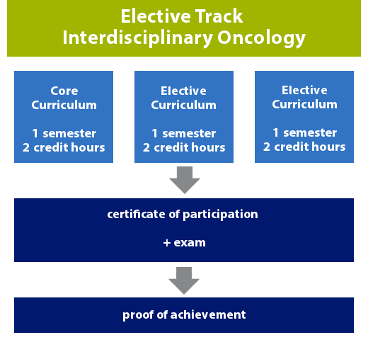 Scheme structure of the elective track